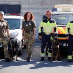 Фахівці ДСНС і поліції провели спільне навчання з пошуку людей під уламками