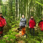 Гірські рятувальники двічі за день допомогли постраждалим.