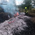 На Прикарпатті рейдові групи використовують дрони для виявлення підпалів у природних екосистемах
