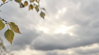 Погода на Прикарпатті 14 вересня: до +23°, уранці туман
