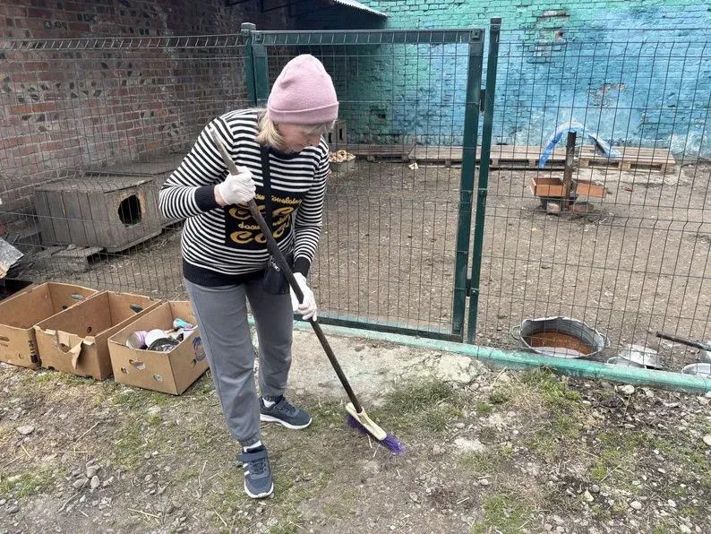 Жителів Калуша запрошують на велику толоку в «Дім Сірка» для підготовки притулку до зимового сезону