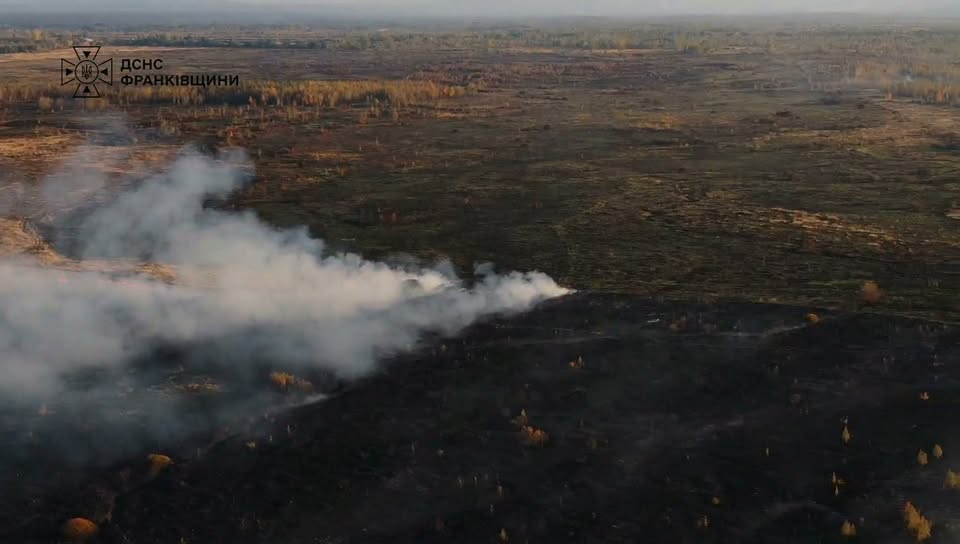На Прикарпатті зафіксовано 34 пожежі в екосистемах: є загибла