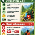 Безпека в лісі: правила, що врятують життя