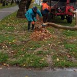 Комунальні служби Калуша звітували про виконану роботу за 27 жовтня: очищення території від листя