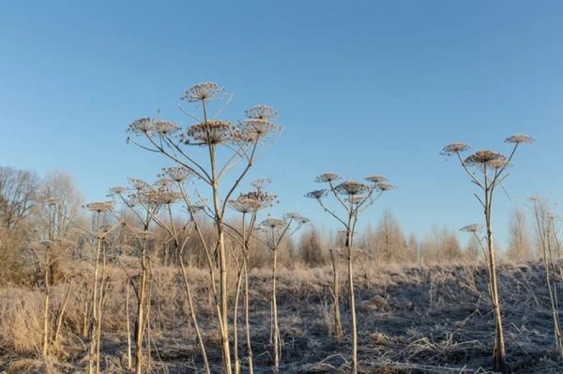 Погода на Прикарпатті 7 жовтня: без опадів, до +25°, у високогір’ї — до +18°