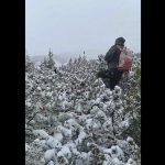 Поблизу Говерли рятувальники протягом чотирьох годин розшукували загубленого туриста