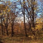 Інформаційні стенди встановлять на заповідних територіях Калуської громади