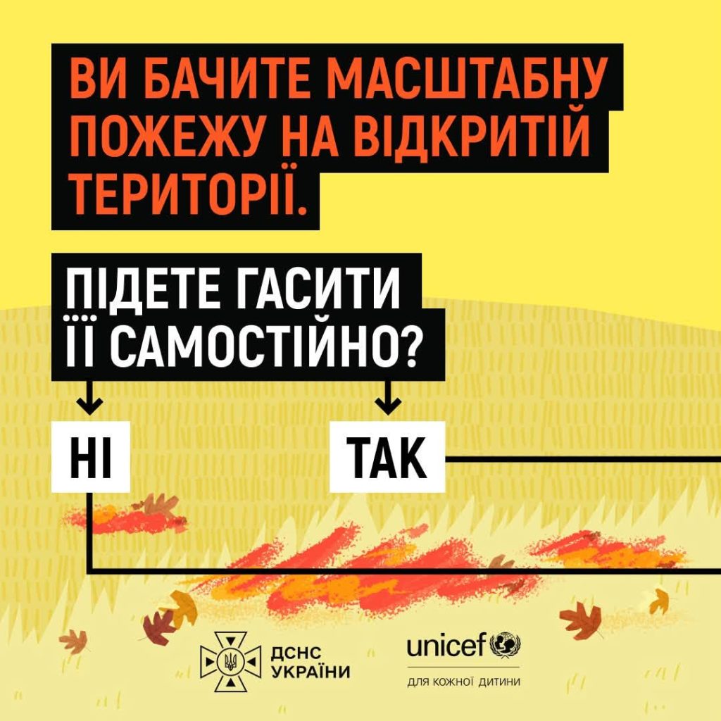 Пожежа на відкритих територіях під час війни руйнує не лише природні системи, а й негативно впливає на життя людей і тварин