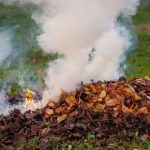 Шкода від спалювання сміття та сухого листя