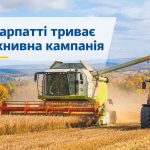 На Прикарпатті триває збір урожаю цієї осені