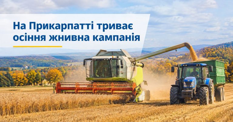 На Прикарпатті триває збір урожаю цієї осені