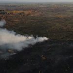 На Прикарпатті зафіксовано 34 пожежі в екосистемах: є загибла
