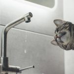 Звертаємо увагу на припинення водопостачання 14 жовтня 2026 року