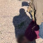 Служба безпеки України та Державне бюро розслідувань затримали адвоката, який за 315 тисяч доларів США обіцяв допомогти фігурантці