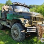 Від засудження за володіння зброєю до підозри в незаконному вирубуванні лісу