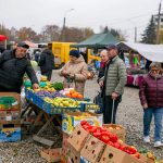 Гуртовий ярмарок фермерської продукції у Микитинцях