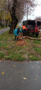 Комунальні служби Калуша звітували про виконану роботу за 27 жовтня: очищення території від листя