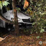 В Івано-Франківську нетвереза дівчина викрала мікроавтобус і врізалася ним у дерево