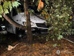 В Івано-Франківську нетвереза дівчина викрала мікроавтобус і врізалася ним у дерево