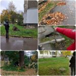 Перевірка комісії з контролю стану благоустрою: виявлені проблеми та надані рекомендації