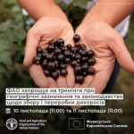 ФАО запрошує виробників взяти участь в онлайн-навчаннях з географічних зазначень та інших аспектів харчової продукції
