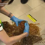 На Хмельниччині визнали винними четверо членів групи за незаконне вивезення бурштину до Туреччини