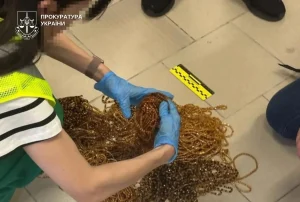 На Хмельниччині визнали винними четверо членів групи за незаконне вивезення бурштину до Туреччини
