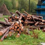 Підготовка до зими в гірському селі Зелене на Верховинщині