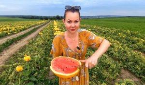 Кавуни допомогли уникнути банкрутства переселеному господарству на Прикарпатті