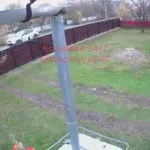В Коломиї службова машина наїхала на собаку, свідки кажуть, що водій не зупинився